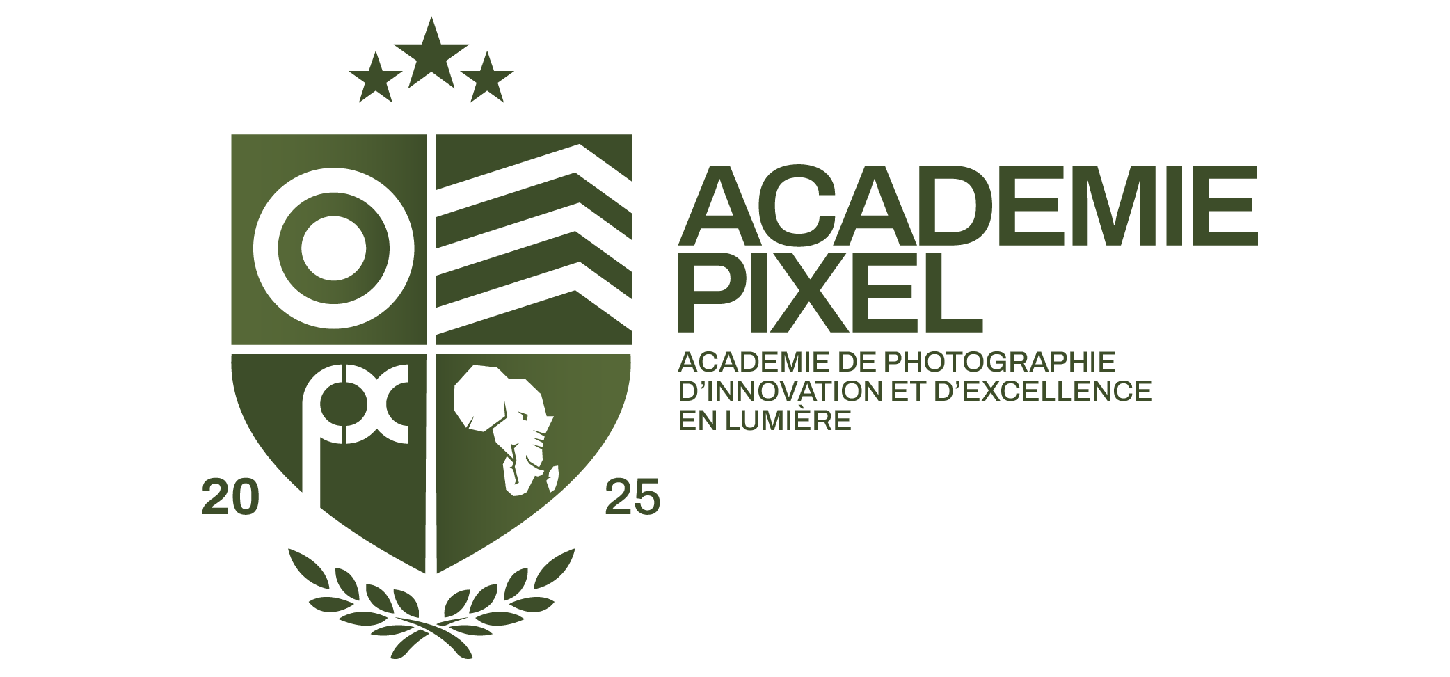 Academie Pixel