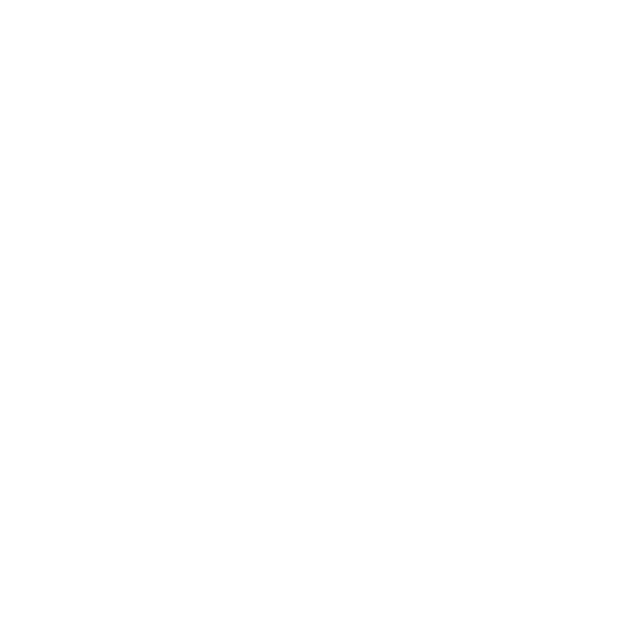 Academie_PIXEL_Logo_white_V1